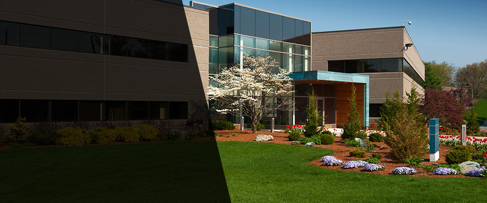 Yemassee Landscapers