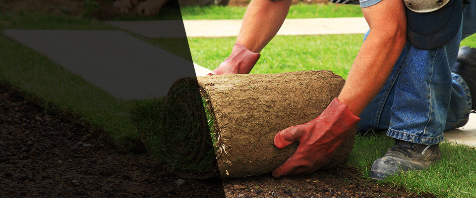 Yemassee Landscapers